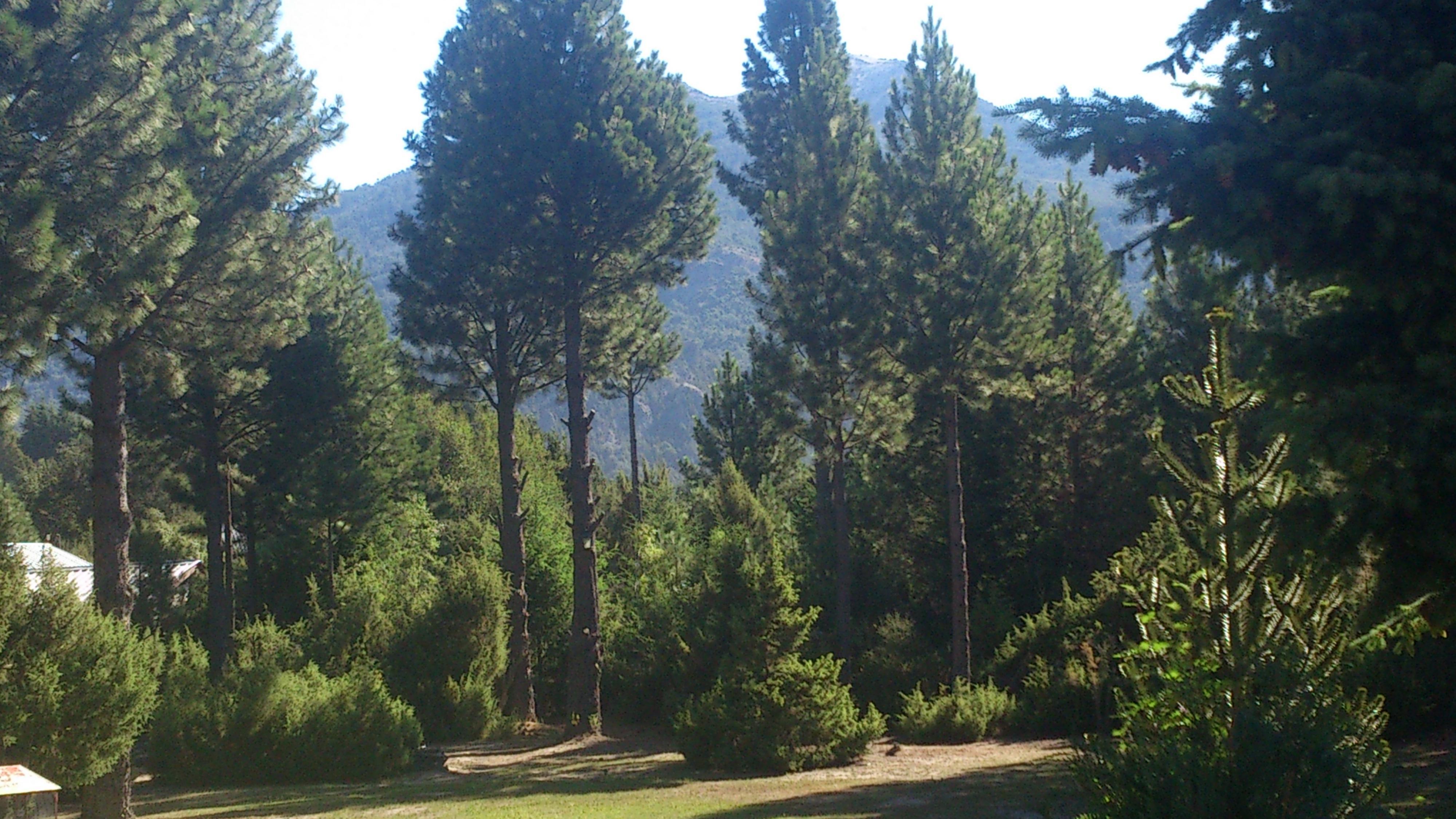 Posada Del Angel Bariloche Zewnętrze zdjęcie